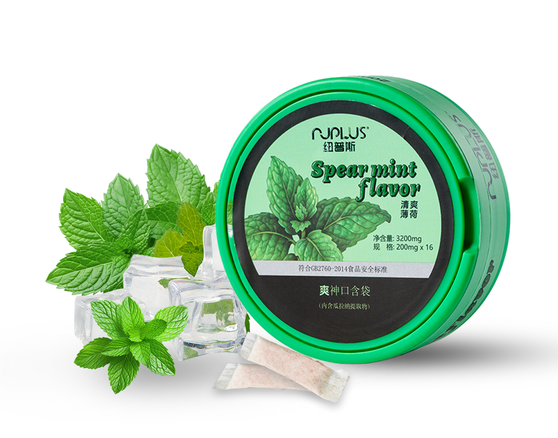 Guarana Refreshment Mint Flavor Pouches (tobacco free nicotine